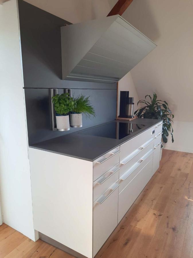 Luxurioeses Loft Mit Schoenem Blick Tremsbüttel Exterior foto